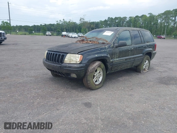 1999 Jeep Grand Cherokee Limited with VIN 1J4GW68N5XC702303, listed as a IAAI auction lot 42501995 with Not provided miles and . Bid and sale history available at DreamBid. Image 2.