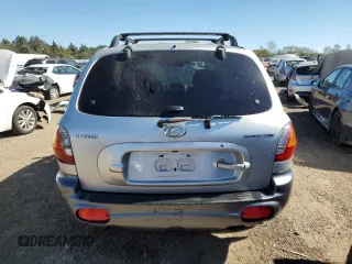 2003 Hyundai Santa Fe with VIN KM8SB12B13U405056, listed as a Copart auction lot 73671484 with 0 mi miles and Salvage Title. Bid and sale history available at carsss.com. Image 6.