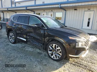2022 Hyundai Santa Fe Calligraphy with VIN 5NMS54AL9NH466415, listed as a Copart auction lot 80274414 with 64,663 mi miles and Salvage Title. Bid and sale history available at carsss.com. Image 4.