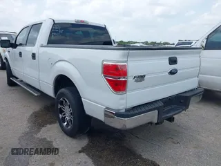 2010 Ford F-150 XL with VIN 1FTEW1C80AKE48904, listed as a IAAI auction lot 42110005 with 255,883 mi miles. Bid and sale history available at carsss.com. Image 3.