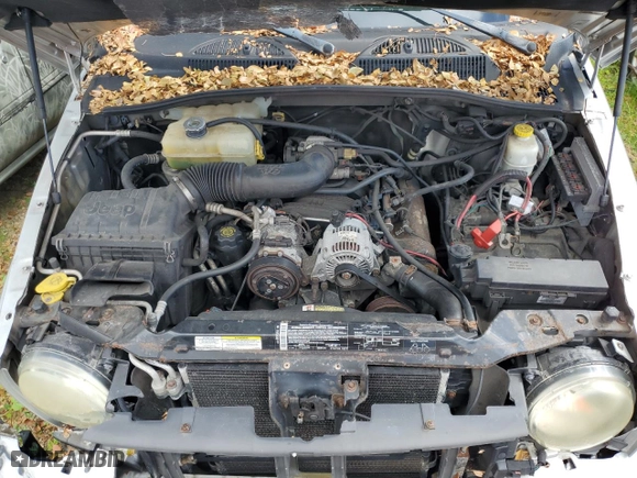 2004 Jeep Liberty Limited with VIN 1J4GL58K54W113559, listed as a Copart auction lot 60642464 with 0 mi miles and Non Repairable. Bid and sale history available at carsss.com. Image 12.
