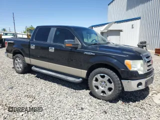 2009 Ford F-150 XL with VIN 1FTRW12889FB46414, listed as a Copart auction lot 57689325 with 197,779 mi miles and Salvage title. Bid and sale history available at DreamBid. Image 4.