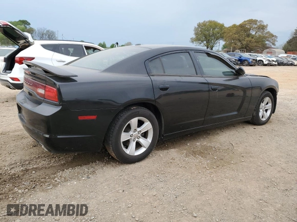 2013 Dodge Charger SE with VIN 2C3CDXBG8DH594427, listed as a Copart auction lot 51694035 with 155,023 mi miles and Salvage Title. Bid and sale history available at DreamBid. Image 3.
