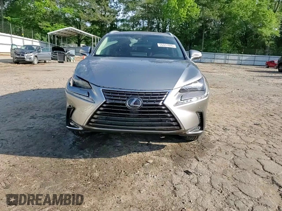 2019 Lexus NX 300 with VIN JTJBARBZ7K2207799, listed as a Copart auction lot 55317495 with 78,161 mi miles and Salvage title. Bid and sale history available at DreamBid. Image 14.