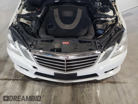 2010 Mercedes-Benz E-Class E 550 Luxury with VIN WDDHF9AB2AA228248, listed as a Copart auction lot 73680464 with 153,586 mi miles and Salvage Title. Bid and sale history available at carsss.com. Image 11.
