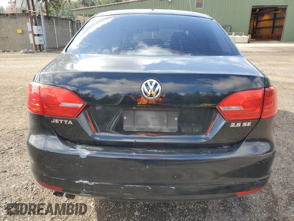 2013 Volkswagen Jetta Sedan SE with VIN 3VWDP7AJ9DM246218, listed as a Copart auction lot 48206015 with 122,874 mi miles and Salvage Title. Bid and sale history available at carsss.com. Image 6.