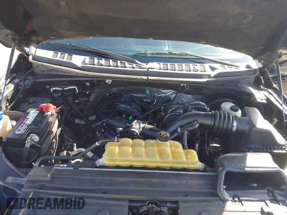 2016 Ford F-150 XL with VIN 1FTEX1C89GKG01091, listed as a IAAI auction lot 41579269 with 117,698 mi miles and . Bid and sale history available at carsss.com. Image 10.