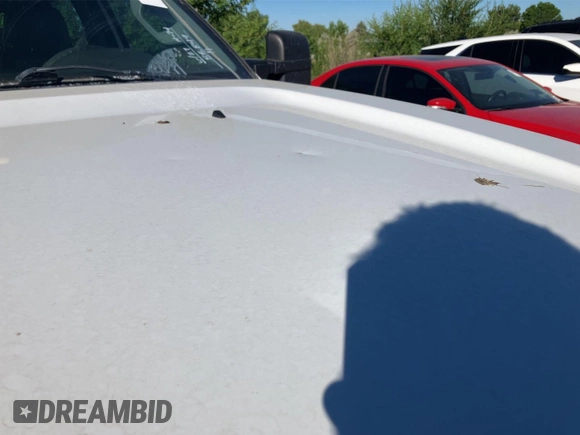 2011 Ford F-250 XL with VIN 1FT7W2B63BEC17090, listed as a IAAI auction lot 42840403 with 88,849 mi miles and . Bid and sale history available at DreamBid. Image 8.