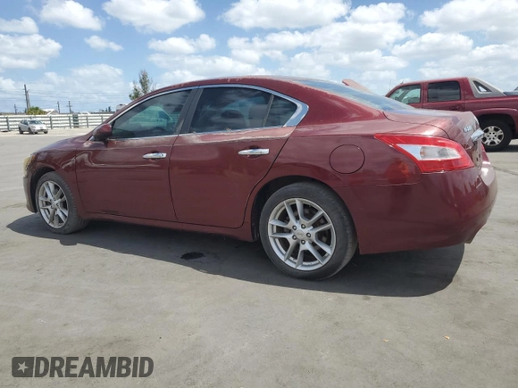 2009 Nissan Maxima SV with VIN 1N4AA51E59C809603, listed as a Copart auction lot 54609295 with 210,603 mi miles and Clean Title. Bid and sale history available at DreamBid. Image 2.