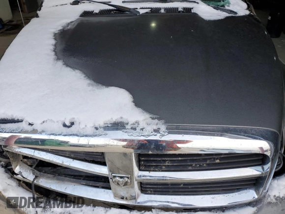 2006 Dodge 1500 SLT with VIN 1D7HU16216J244190, listed as a Copart auction lot 88060675 with Not Provided miles and Salvage Title. Bid and sale history available at DreamBid. Image 12.