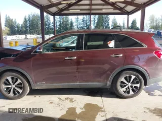 2016 Kia Sorento EX with VIN 5XYPHDA57GG181613, listed as a IAAI auction lot 42020545 with 173,439 mi miles. Bid and sale history available at carsss.com. Image 14.
