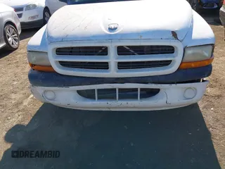 1999 Dodge Dakota SLT with VIN 1B7FL26X1XS190195, listed as a IAAI auction lot 41355250 with 223,174 mi miles. Bid and sale history available at carsss.com. Image 6.