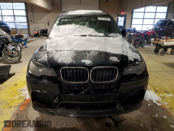2010 BMW X5 M with VIN 5YMGY0C58ALK25854, listed as a Copart auction lot 87815685 with 0 mi miles and Salvage Title. Bid and sale history available at carsss.com. Image 5.