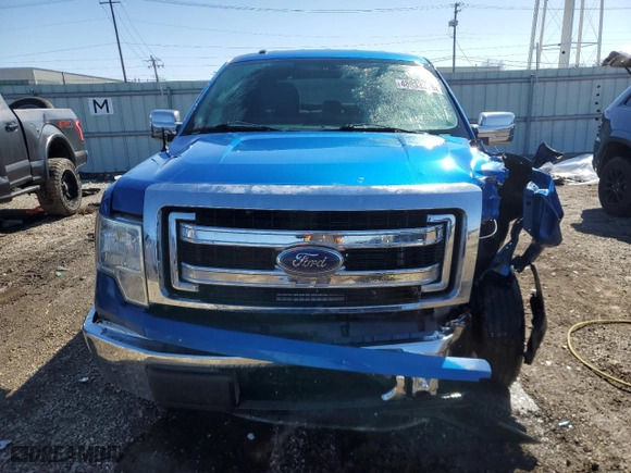 2013 Ford F-150 XL with VIN 1FTEW1CM4DFC15215, listed as a Copart auction lot 48983375 with 205,081 mi miles and Salvage Title. Bid and sale history available at carsss.com. Image 5.