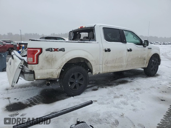 2017 Ford F-150 XL with VIN 1FTEW1EG0HFC21266, listed as a Copart auction lot 46624745 with 141,117 mi miles and Salvage Title. Bid and sale history available at carsss.com. Image 3.