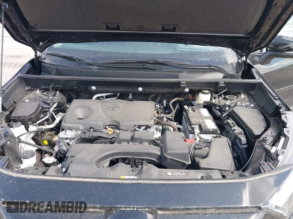 2024 Toyota RAV4 XLE Premium with VIN 2T3A1RFV8RC458744, listed as a IAAI auction lot 42031214 with 6,333 mi miles and . Bid and sale history available at DreamBid. Image 10.