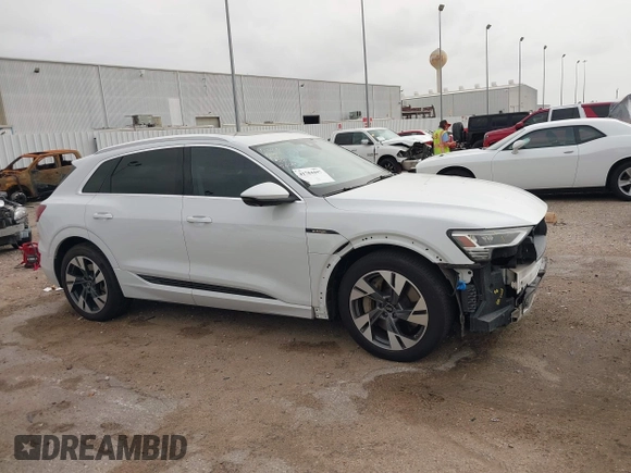 2022 Audi e-tron Premium Plus with VIN WA1LAAGE6NB033284, listed as a IAAI auction lot 41784457 with 30,964 mi miles and . Bid and sale history available at DreamBid. Image 14.