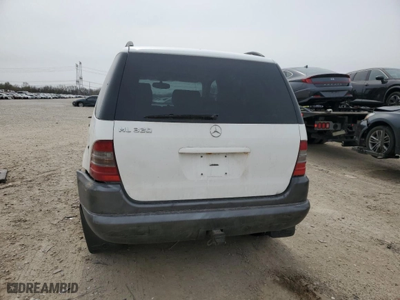 1999 Mercedes-Benz M-Class with VIN 4JGAB54E2XA061500, listed as a Copart auction lot 51301525 with 191,463 mi miles and Salvage Title. Bid and sale history available at carsss.com. Image 6.