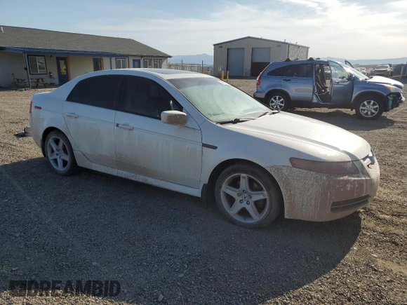 2005 Acura TL with VIN 19UUA66295A039005, listed as a Copart auction lot 53960645 with 290,175 mi miles and Clean Title. Bid and sale history available at carsss.com. Image 4.