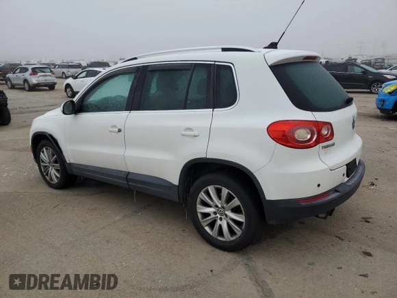 2010 Volkswagen Tiguan SEL with VIN WVGBV7AX8AW530953, listed as a Copart auction lot 81807704 with 146,558 mi miles and Salvage Title. Bid and sale history available at DreamBid. Image 2.