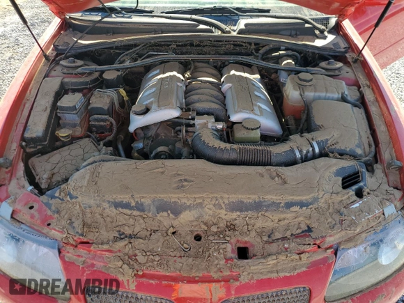 2004 Pontiac GTO with VIN 6G2VX12G94L239611, listed as a Copart auction lot 77992684 with Not Provided miles and Salvage Title. Bid and sale history available at DreamBid. Image 11.