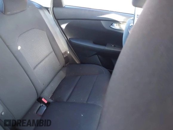 2019 Kia Forte LXS with VIN 3KPF24AD8KE133273, listed as a IAAI auction lot 41816210 with 102,697 mi miles. Bid and sale history available at carsss.com. Image 8.