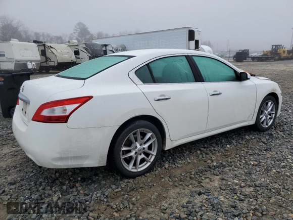 2011 Nissan Maxima SV with VIN 1N4AA5AP6BC836980, listed as a Copart auction lot 52584935 with Not provided miles and Non repairable. Bid and sale history available at DreamBid. Image 3.