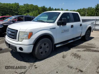 2010 Ford F-150 XL with VIN 1FTFW1EV7AFA23891, listed as a Copart auction lot 61647315 with 254,134 mi miles and Clean title. Bid and sale history available at DreamBid. Image 1.