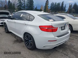 2010 BMW X6 M with VIN 5YMGZ0C52ALK13325, listed as a IAAI auction lot 40819581 with 134,282 mi miles. Bid and sale history available at carsss.com. Image 3.