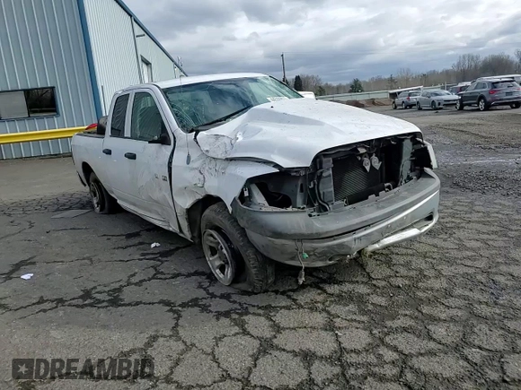 2010 Dodge 1500 ST with VIN 1D7RB1GK4AS126579, listed as a Copart auction lot 44359815 with Not Provided miles and Salvage Title. Bid and sale history available at DreamBid. Image 11.