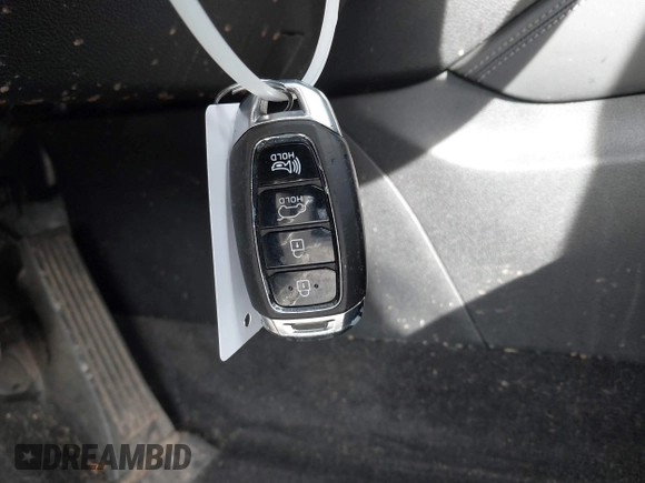 2019 Hyundai Santa Fe Limited with VIN 5NMS5CAD2KH059843, listed as a IAAI auction lot 41271006 with 187,468 mi miles. Bid and sale history available at carsss.com. Image 11.