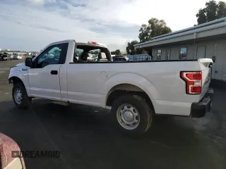 2019 Ford F-150 XL with VIN 1FTMF1CB9KKE81876, listed as a Copart auction lot 81753954 with 35,535 mi miles and Salvage title. Bid and sale history available at DreamBid. Image 2.