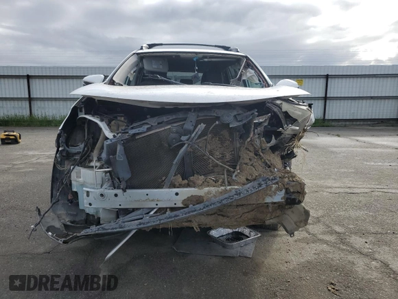2018 Toyota RAV4 XLE with VIN 2T3WFREV1JW471752, listed as a Copart auction lot 46952565 with 87,705 mi miles and Salvage Title. Bid and sale history available at DreamBid. Image 5.