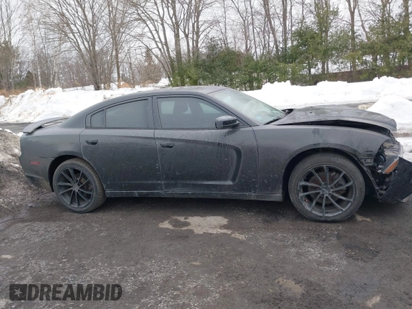 2014 Dodge Charger SXT Plus with VIN 2C3CDXJG2EH163049, listed as a IAAI auction lot 41634369 with 1 mi miles. Bid and sale history available at carsss.com. Image 14.