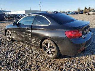 2017 BMW 2 Series 230i with VIN WBA2F9C30H7A40308, listed as a Copart auction lot 41564795 with 53,403 mi miles and Salvage title. Bid and sale history available at DreamBid. Image 2.