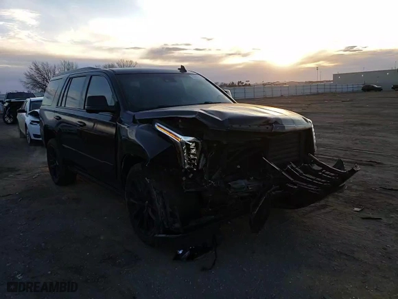 2019 Cadillac Escalade Platinum with VIN 1GYS4DKJ7KR386452, listed as a Copart auction lot 83686144 with 125,437 mi miles and Salvage Title. Bid and sale history available at carsss.com. Image 11.