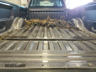 2010 Ford F-150 XL with VIN 1FTMF1EW4AKA18140, listed as a Copart auction lot 62378325 with 132,807 mi miles and Salvage title. Bid and sale history available at DreamBid. Image 10.
