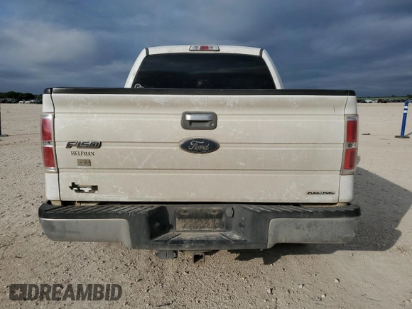 2013 Ford F-150 XL with VIN 1FTFW1CF6DKF13715, listed as a Copart auction lot 55394455 with 265,607 mi miles and Clean Title. Bid and sale history available at carsss.com. Image 6.