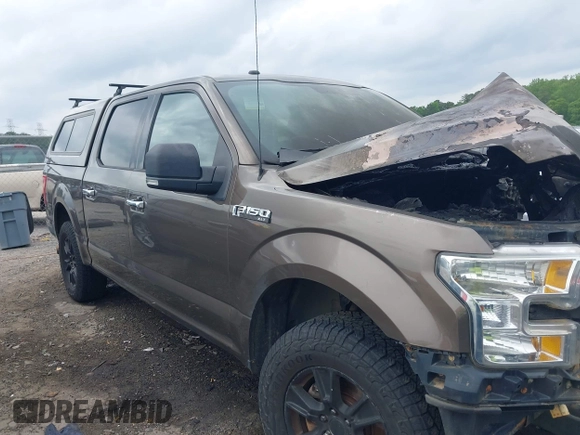 2016 Ford F-150 XLT with VIN 1FTEW1EF2GFB49041, listed as a IAAI auction lot 42092474 with Not Provided miles and . Bid and sale history available at carsss.com. Image 12.