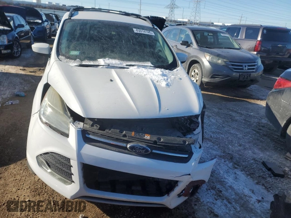 2014 Ford Escape SE with VIN 1FMCU0GX1EUD38118, listed as a Copart auction lot 45914145 with 134,079 mi miles and Salvage Title. Bid and sale history available at carsss.com. Image 5.
