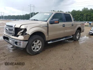2014 Ford F-150 XL with VIN 1FTFW1EF3EKE76976, listed as a Copart auction lot 62586565 with 184,469 mi miles and Salvage title. Bid and sale history available at DreamBid. Image 1.
