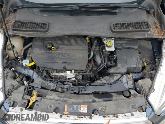 2019 Ford Escape SEL with VIN 1FMCU9HD1JUC78022, listed as a Copart auction lot 51519195 with 57,384 mi miles and Salvage Title. Bid and sale history available at carsss.com. Image 14.