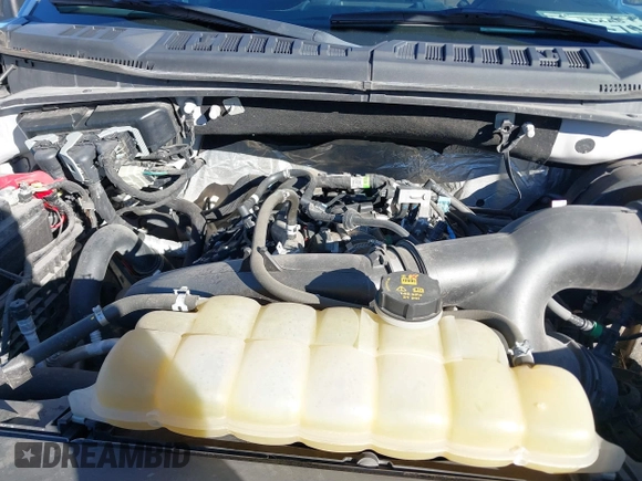 2019 Ford F-150 XL with VIN 1FTEW1CP6KFD42734, listed as a IAAI auction lot 41260505 with 101,702 mi miles and . Bid and sale history available at carsss.com. Image 10.