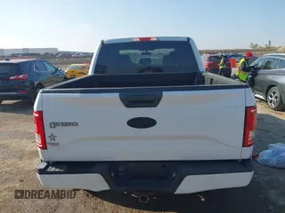 2017 Ford F-150 XL with VIN 1FTEW1CF8HKE13441, listed as a IAAI auction lot 41797041 with 185,482 mi miles and . Bid and sale history available at carsss.com. Image 16.