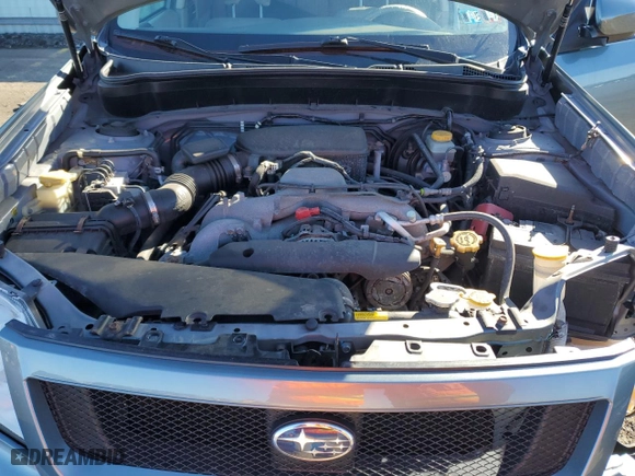 2010 Subaru Forester 2.5X Premium with VIN JF2SH6CC3AH701176, listed as a Copart auction lot 49411125 with NaN miles and Salvage Title. Bid and sale history available at carsss.com. Image 12.