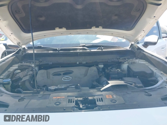 2019 Mazda CX-9 Touring with VIN JM3TCACY7K0314539, listed as a IAAI auction lot 42234361 with 98,299 mi miles and . Bid and sale history available at DreamBid. Image 10.