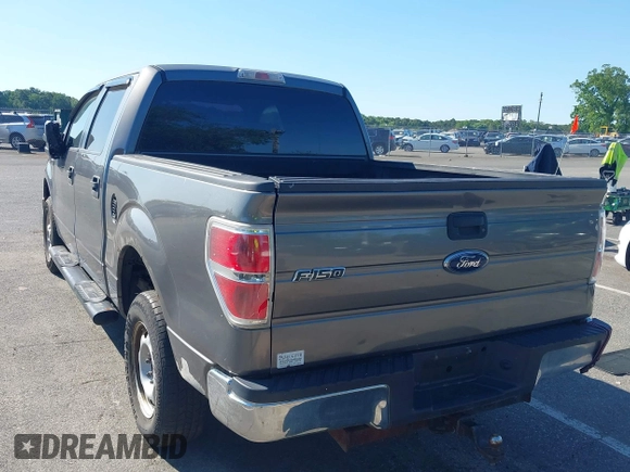 2009 Ford F-150 XL z VIN 1FTRW14819FB18628, wystawiony jako IAAI lot #42303828 z przebiegiem 193 672 mil mil oraz . Historia ofert i sprzedaży dostępna na DreamBid. Obrazek 3.