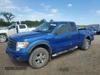 2009 Ford F-150 XL with VIN 1FTPX14V69FB16769, listed as a Copart auction lot 57498575 with 168,162 mi miles and Salvage title. Bid and sale history available at DreamBid. Image 1.