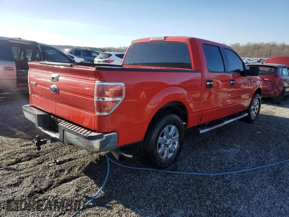 2013 Ford F-150 XL with VIN 1FTFW1CT9DFA26524, listed as a Copart auction lot 49811955 with 216,823 mi miles and Salvage Title. Bid and sale history available at carsss.com. Image 3.