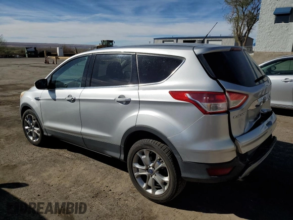 2013 Ford Escape SEL with VIN 1FMCU0H9XDUB09113, listed as a Copart auction lot 49508765 with 179,863 mi miles and Salvage Title. Bid and sale history available at carsss.com. Image 2.